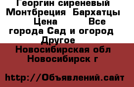 Георгин сиреневый. Монтбреция. Бархатцы.  › Цена ­ 100 - Все города Сад и огород » Другое   . Новосибирская обл.,Новосибирск г.